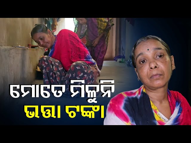 ଘୋଷରି-ଘୋଷରି-ଚାଲୁଛନ୍ତି-ହେଲେ-ପ୍ରଶାସନ-ଦେଉନି-ଭତ୍ତା-||-knews-odisha