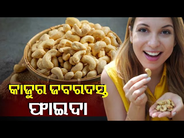 କାଜୁ-ଖାଇଲେ-ସ୍ୱାସ୍ଥ୍ୟ-ଉପରେ-ପଡିଥାଏ-ଏହି-ସବୁ-ପ୍ରଭାବ-||knews-odisha