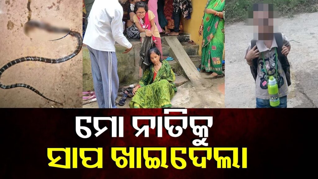 ଗୁଲୁଗୁଲିଆ-କୁନି-ପୁଅକୁ-ମୃତ-ଅବସ୍ଥାରେ-ଦେଖି-ଚେତା-ରହୁନି-ମାଆର-||-knews-odisha