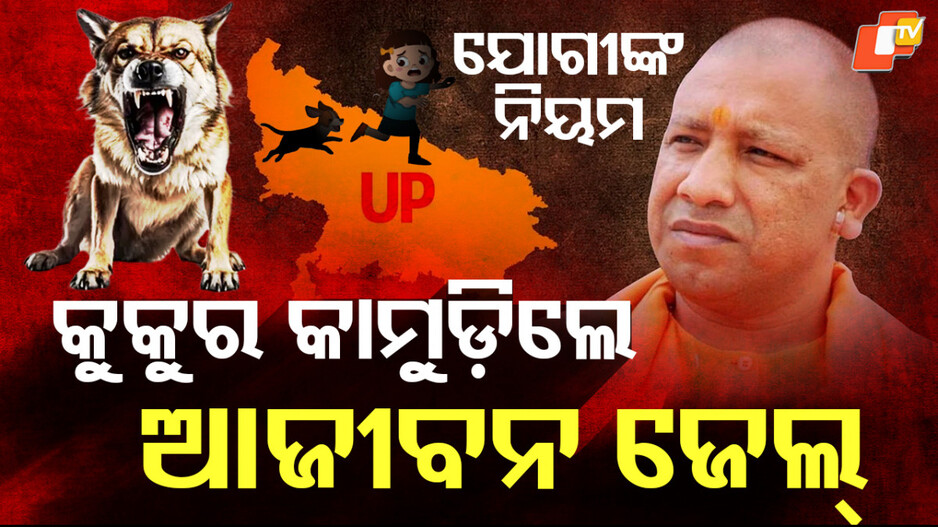 new-law-:-କୁକୁର-କାମୁଡ଼ିଲେ-ମିଳିବ-କାରାଦଣ୍ଡ,-ଜୀବନ-ସାରା-ଜେଲରେ-କଟିବ-ଦିନ