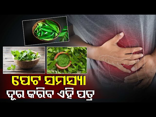 ଖାଆନ୍ତୁ-ଏହି-ପତ୍ର-ସାତ-ଦିନ-ଭିତରେ-ଦୂର-ହେବ-ପେଟ-ସମସ୍ୟା,-ତ୍ୱାଚାରେ-ଆସିବ-ଚମକ-||knews-odisha