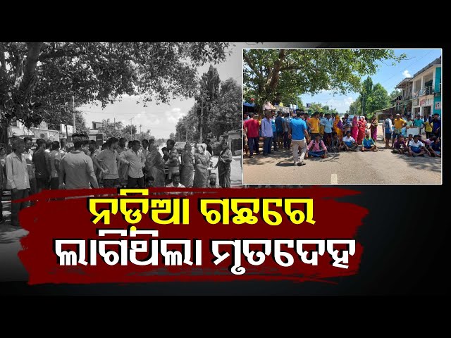 ନଡ଼ିଆ-ତୋଳିବା-ବେଳେ-ବିଦ୍ୟୁତ୍-ତାର-ଲାଗି-ଗଲା-ଜୀବନ,-ତାପରେ-ବଡ଼-ହଙ୍ଗାମା-||knews-odisha