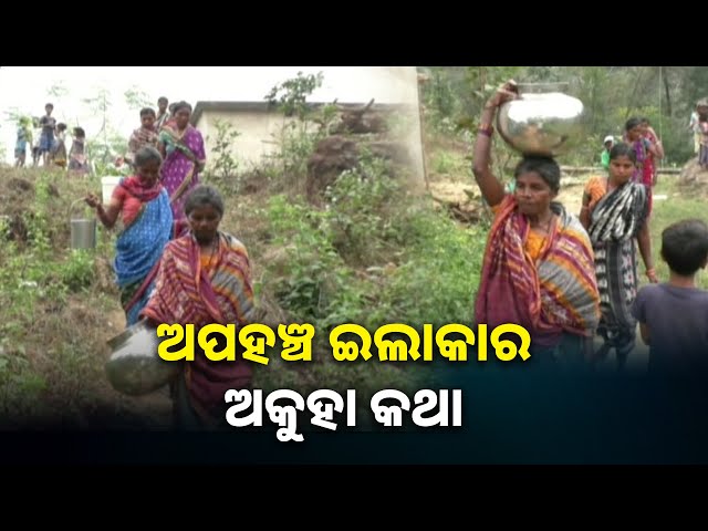 ସକାଳ-ହେଲେ-ଗାଁ-ଲୋକଙ୍କୁ-ଘାରେ-ପାଣି-ଚିନ୍ତା,-କୂଅ-ପାଣି-ହିଁ-ସାଜିଛି-ସାହା-ଭରଷା-||-knews-odisha
