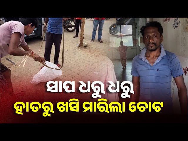 ସାପ-ଧରାଳିଙ୍କୁ-କାମୁଡ଼ିଲା-ସାପ,-ସାପ-ଧରି-ପହଞ୍ଚିଲେ-ଡାକ୍ତରଖାନାରେ-||-knews-odisha