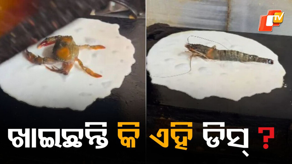 crab-rice-crackers:-ଏହି-ଡିସକୁ-ଦେଖି-ଲୋକଙ୍କ-ମୁଣ୍ଡ-ଘୂରାଇଦେଉଛି,-ସୋସିଆଲ-ମିଡିଆରେ-ହେଉଛି-ଭାଇରାଲ