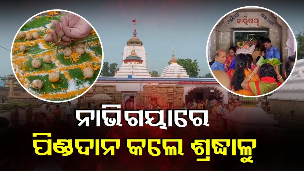 ନାଭିଗୟାରେ-ପିଣ୍ଡଦାନ-ପାଇଁ-ଶ୍ରଦ୍ଧାଳୁଙ୍କ-ଭିଡ,-ଆସନ୍ତାକାଲି-ଠାରୁ-ଗଡିବ-ମା’ଙ୍କ-ରଥ-||-knews-odisha
