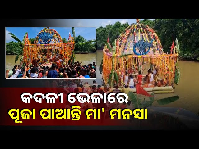 ସର୍ପ-ଦଂଶନରୁ-ମୁକ୍ତି-ପାଇବା-ପାଇଁ-ମା’-ମନସାଙ୍କୁ-ପୂଜା-କରନ୍ତି-ଭକ୍ତ,-ଶ୍ରଦ୍ଧାରେ-ଅର୍ପଣ-କରନ୍ତି-ଟଙ୍କା-ହାର