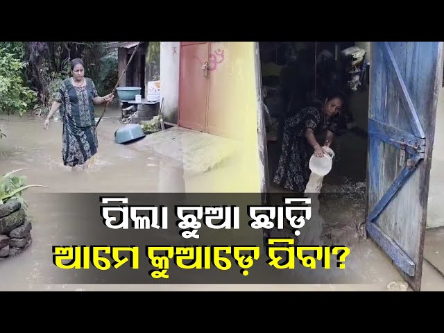 ଘର-ଭିତରେ-ଲହଡ଼ି-ମାରୁଛି-ବନ୍ୟା-ପାଣି,-ସାପ-ବେଙ୍ଗ-ଭୟରେ-ଦିନ-କାଟୁଛନ୍ତି-ଲୋକେ-||-knews-odisha