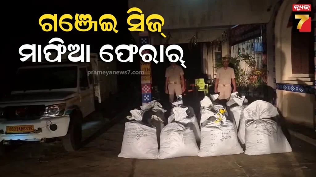 ବୌଦ୍ଧ-ପୋଲିସର-ଅପରେସନ-ପ୍ରହାର,-୫୦-ଲକ୍ଷରୁ-ଅଧିକ-ଟଙ୍କାର-ଗଞ୍ଜେଇ-ଜବତ