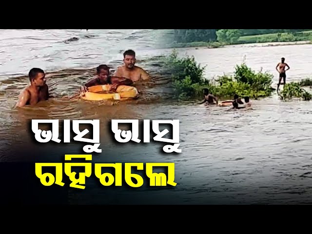 ହଠାତ୍-ନଦୀରେ-ଆସିଗଲା-ପାଣି,-ମଝିରେ-ଫସିଗଲେ-ଦୁଇ-ବ୍ୟକ୍ତି-ଓ-୨୪ଟି-ଛେଳି-||-knews-odisha