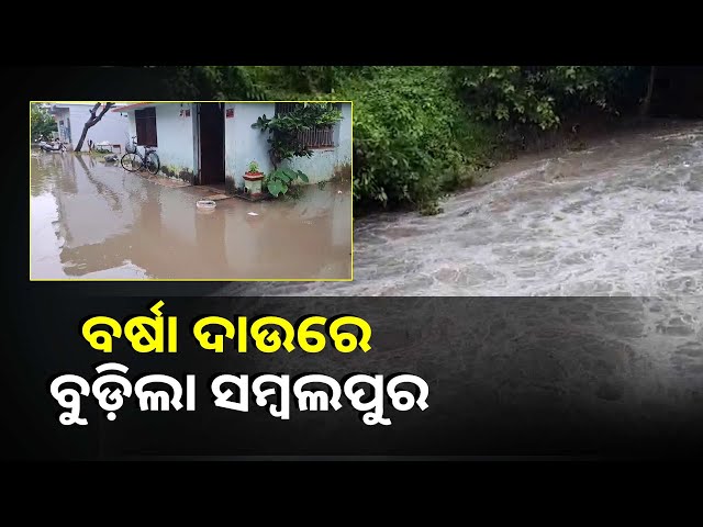 ଲଗାଣ-ବର୍ଷା-ଯୋଗୁଁ-ସମ୍ବଲପୁର-ତଳି-ଅଞ୍ଚଳରେ-ଘର-ଭିତରକୁ-ପଶିଲା-ପାଣି-||knews-odisha