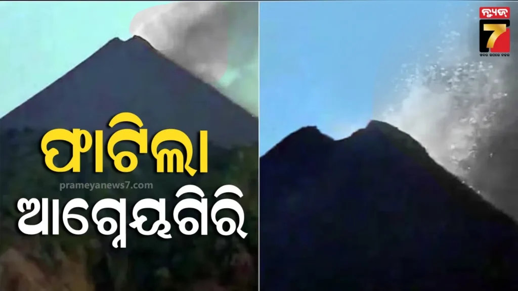 କିଲର-ଲୁକ୍…ଚମତ୍କାର-ପର୍ଫମାନ୍ସ-!-୨୭ହଜାର-କମିଲା-ଆପାଚିର-ଦାମ୍