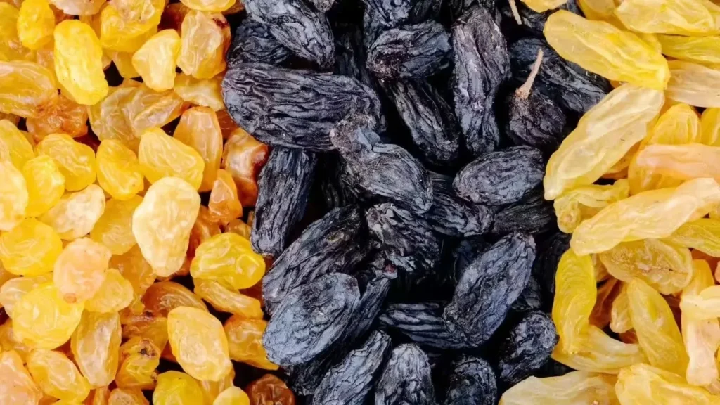 ସୋସିଆଲ-ମିଡିଆ-ପ୍ଲାଟଫର୍ମ-x-କୁ-କର୍ଣ୍ଣାଟକ-ହାଇକୋର୍ଟଙ୍କ-ଝଟକା,-ଜାଣନ୍ତୁ-କହିଲେ-କ’ଣ?
