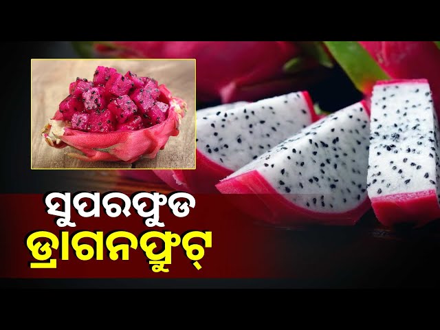 ଏହି-ଫଳ-ଦାମୀ-ହେଲେ-ବି-ଦେଇଥାଏ-ଅନେକ-ସ୍ୱାସ୍ଥ୍ୟଗତ-ଫାଇଦା-|-knews-odisha