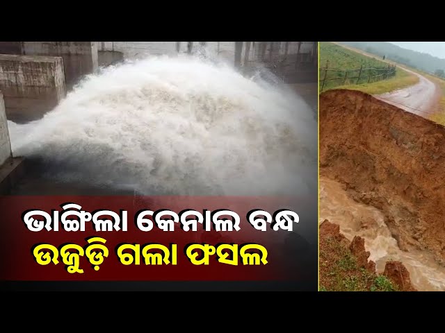 ଭାଙ୍ଗିଲା-ଦେଓ-ନଦୀ-ମୁଖ୍ୟ-କେନାଲ,-ଚାଷୀଙ୍କୁ-କ୍ଷତିପୂରଣ-ଦିଆଯିବ-||knews-odisha