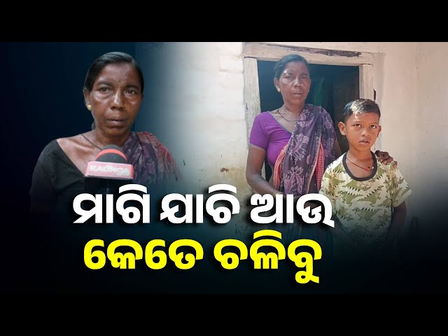 ସରକାରଙ୍କୁ-ଗୁହାରି-ଜଣାଇଲେ-ବୃଦ୍ଧା,-କହିଲେ-ମାଗି-ଯାଚି-ଏ-କୁନି-ଛୁଆଟିକୁ-ଆଉ-କେତେଦିନ-ଚଳାଇବୁ-||-knews-odisha