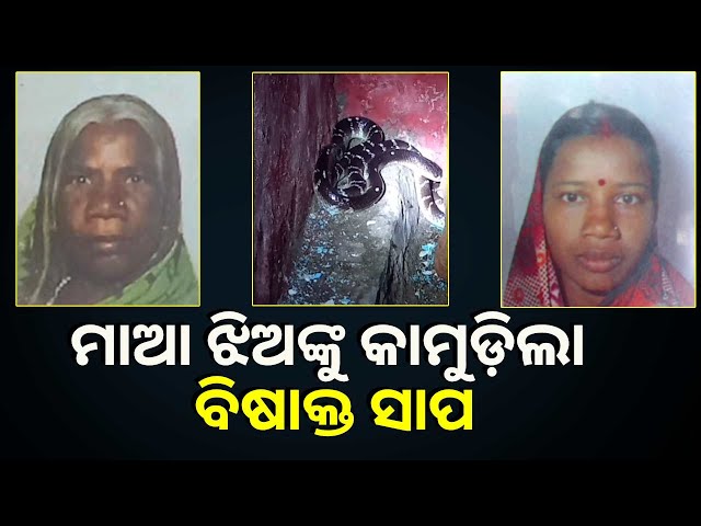 ଅବେଳରେ-ଚାଲିଗଲା-ଦୁଇ-ଜୀବନ,-ଗାଁରେ-ଖେଳିଯାଇଛି-ଶୋକର-ଛାୟା-||-knews-odisha