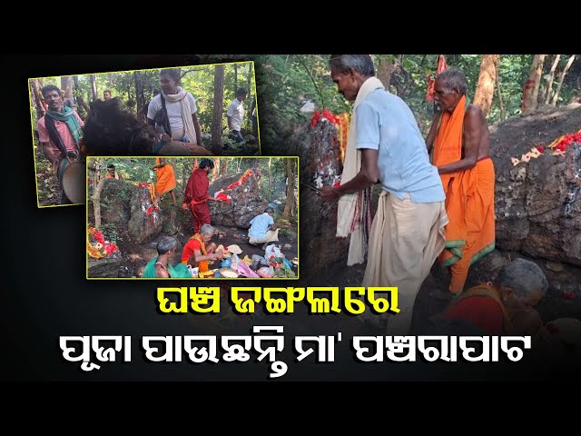 ଜଙ୍ଗଲୀ-ରାସ୍ତାରେ-ମା’ଙ୍କ-ଦର୍ଶନ-ପାଇଁ-ଯାଉଛନ୍ତି-ମାନସିକଧାରୀ,-କିନ୍ତୁ-ଅବହେଳିତ-ଅବସ୍ଥାରେ-ପଡ଼ିରହିଛି-ପୀଠ