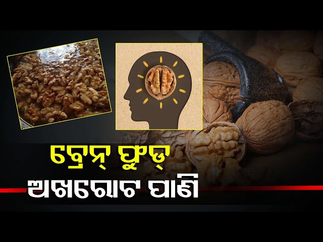 ସକାଳୁ-ଅଖରୋଟ-ଭିଜା-ପାଣି-ପିଇଲେ-ମିଳିଥାଏ-ଆଶ୍ଚର୍ଯ୍ୟଜନକ-ଫାଇଦା-||knews-odisha