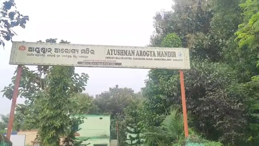 ପାଣିଟାଙ୍କି-ନିକଟରେ-ବସା-ବାନ୍ଧିଥିଲା-ମହୁମାଛି,-ଆକ୍ରମଣରେ-୬-ଜଣ-ଗୁରୁତର