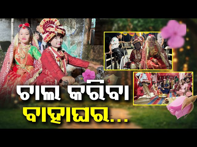 ଧଉଳୀ-ଅଞ୍ଚଳ-କୁମାରଡିହ-ଗାଁ’ରେ-ଏହି-ବାହାଘର-ଏକ-ପୁରାତନ-ପରମ୍ପରା-||-knews-odisha