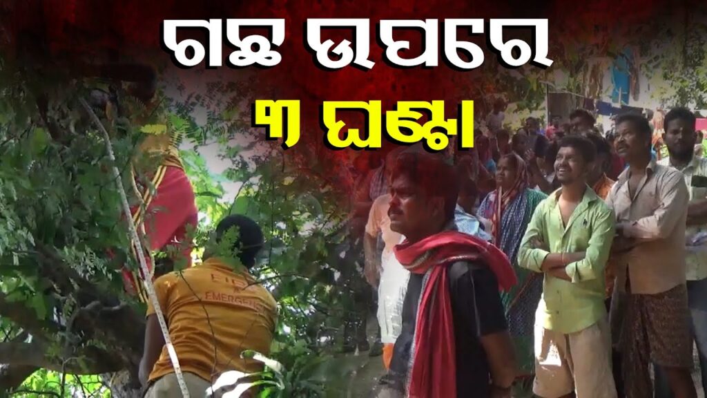ଗଛ-କାଟୁ-କାଟୁ-ଚାପିଦେଲା-ତେନ୍ତୁଲି-ଗଛ,-୩୦-ଫୁଟ-ଉପରେ-୩-ଘଣ୍ଟା-ଝୁଲିରହିଲେ-||-knews-odisha