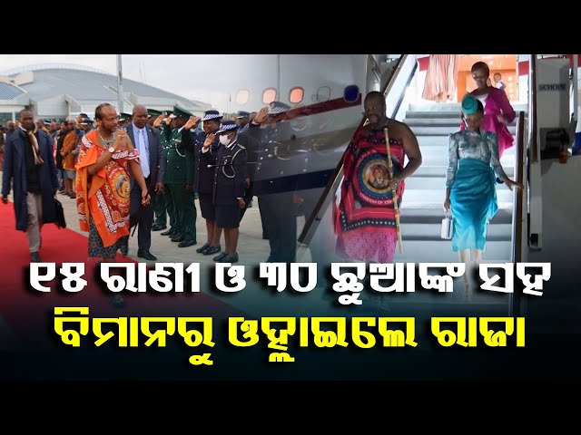 uae-ବିମାନବନ୍ଦରରୁ-ଦେଖିବାକୁ-ମିଳିଲା-ଅଦ୍ଭୁତ-ଦୃଶ୍ୟ,-ରାଜା-ପଟୁଆର-ଦେଖି-ଉଡ଼ିଲା-ସମସ୍ତଙ୍କ-ହୋସ-||-knews-odisha