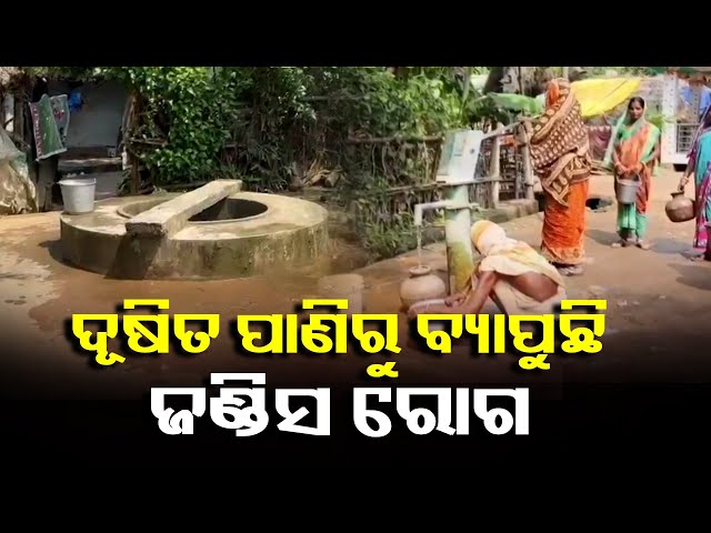 ଖଡିବିଲ-ଗାଁରେ-ପ୍ରାୟ-୭୦-ରୁ-୮୦-ଜଣ-ଜଣ୍ଡିସ୍-ରୋଗରେ-ଆକ୍ରାନ୍ତ,-ଭୟଭୀତ-ଅବସ୍ଥାରେ-ଗ୍ରାମବାସୀ-||-knews-odisha