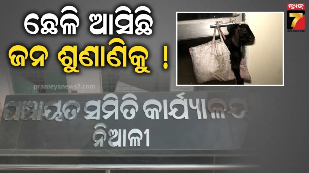ଅଭିଯୋଗ-ଶୁଣିଲାନି-ବିଦ୍ୟୁତ-ବିଭାଗ,-ଛେଳିକୁ-ଧରି-ଜନ-ଶୁଣାଣିରେ-ହାଜର-ହେଲେ-ଚାଷୀ