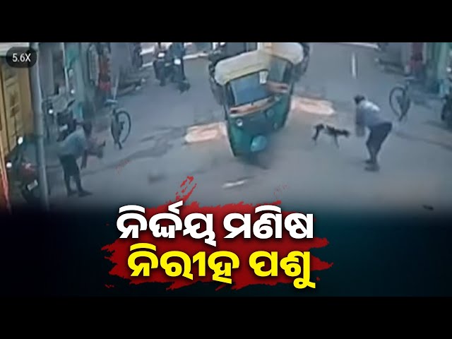 କୁକୁରକୁ-ପିଟି-ପିଟି-ମାରି-ଦଲା,-ଏମିତି-ଅମାନବିକତାକୁ-କଣ-କହିବେ-?-||-knews-odisha