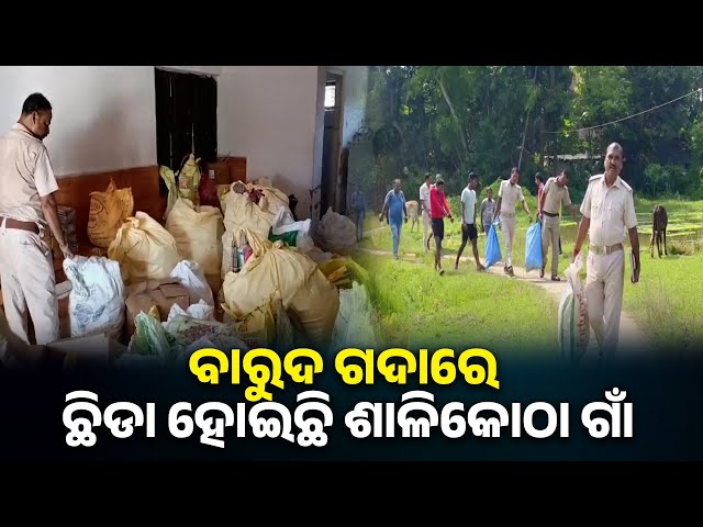 ବେଫିକର-ବାଣ-ବେପାରୀ-ପୋଲିସ-ପ୍ରଶାସନକୁ-ନାହିଁ-ଖାତିର,-ଘରେ-ଘରେ-ଚାଲିଛି-ବାଣର-କୁଟିର-ଶିଳ୍ପ-||-knews-odisha