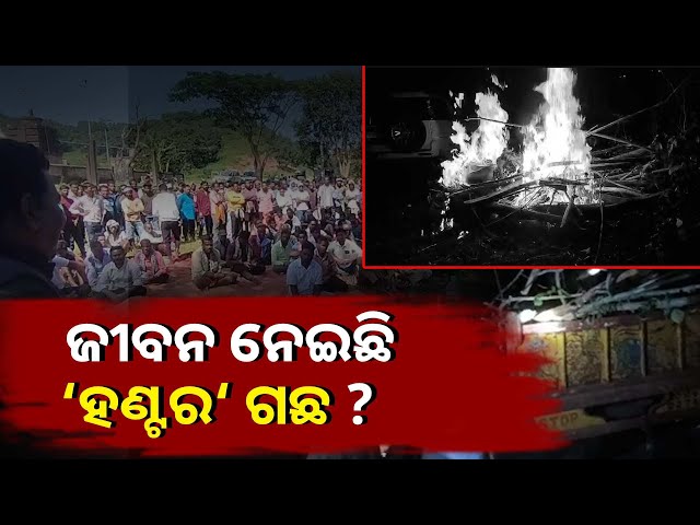 ଗଛରେ-କୁଆଡ଼େ-ଭୂତପ୍ରେତ-ଥିଲେ,-ସନ୍ଧ୍ୟା-ହେଲେ-ଗାଁରେ-ତାଟି-କବାଟ-ପଡୁଥିଲା-||knews-odisha