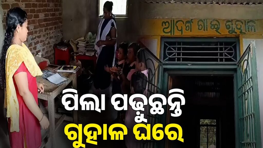 ଗାଁରେ-ନାହିଁ-ଅଙ୍ଗନୱାଡି-କେନ୍ଦ୍ର-ଗୁହାଳ-ଘରେ-ପାଠ-ପଢ଼ୁଛନ୍ତି-ପିଲା,-କଣ-ହେବ-ଏମାନଙ୍କ-ଭବିଷ୍ୟତ?-||-knews-odisha