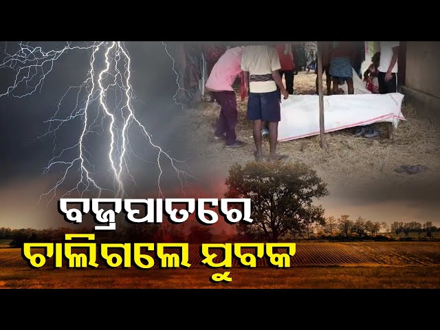 ବିଲରେ-ପାଣି-ମଡ଼ାଇବାକୁ-ଯିବା-ହେଲା-କାଳ,-ବଜ୍ରପାତରେ-ଚାଲିଗଲା-ଯୁବକଙ୍କ-ଜୀବନ-||-knews-odisha