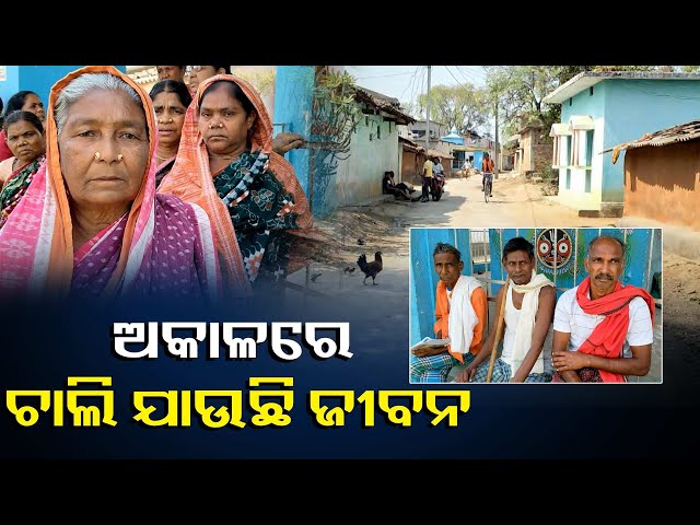 ବୁଢିପଦର-ଗାଁରେ-କାୟା-ବିସ୍ତାର-କରିଛି-କିଡନୀ-ରୋଗ,-ରୋଗୀଙ୍କ-ପାଇଁ-ଭରସା-ଚେରମୂଳି-ଔଷଧ-||knews-odisha