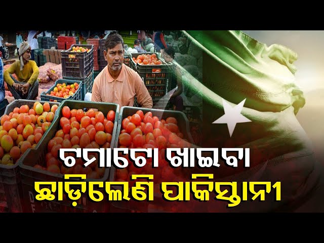 ଦର-ଶୁଣିଲେ-ଆପଣ-କାନରେ-ହାତ-ଦେବେ,-ପାକିସ୍ତାନୀ-ଆଉ-ଚାହୁଁ-ନାହାନ୍ତି-ଟମାଟୋ-ଆଡ଼େ-||-knews-odisha