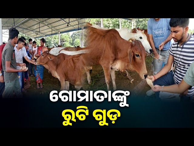 ଗୋଷ୍ଠାଷ୍ଟମୀ-ପାଇଁ-ଉତ୍ସବମୁଖର-ଗଞ୍ଜାମ-ସାନଖେମୁଣ୍ଡି-ବ୍ଲକ-ମୌଳାଭଣଞ୍ଜା-ଅଞ୍ଚଳ-||-knews-odisha