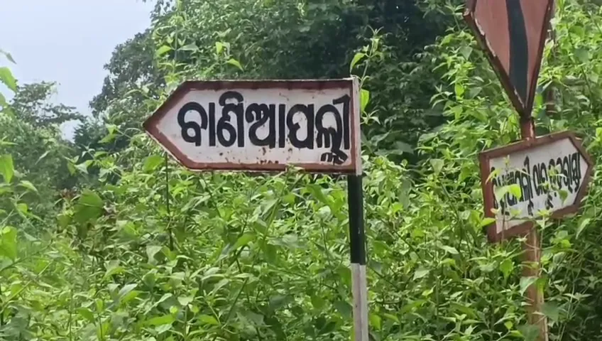 ଦନ୍ତା-ହାତୀର-ମୃତଦେହ-ଠାବ,-ଜଣାପଡିନି-ମୃତ୍ୟୁର-ସଠିକ୍-କାରଣ