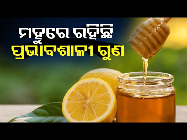 ମହୁ-ସେବନ-କଲେ-ମିଳିବ-ଅନେକ-ସ୍ଵାସ୍ଥ୍ୟଗତ-ସମସ୍ୟାରୁ-ମୁକ୍ତି-||-knews-odisha