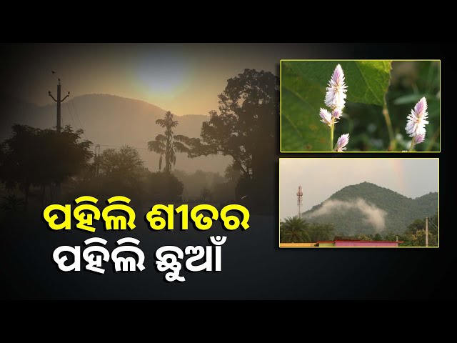 ଘନ-କୁହୁଡିର-ଚାଦରରେ-ଘୋଡେଇ-ହୋଇଛି-ପ୍ରକୃତି-ରାଣୀ,-ଶୀତକୁ-ଉପଭୋଗ-କରୁଛନ୍ତି-ଲୋକେ-||knews-odisha