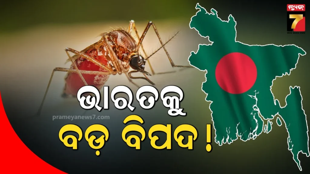 ଚରମ-ସୀମାରେ-ଧନୀ-ଗରିବ-ବ୍ୟବଧାନ-:-୨୩-ବର୍ଷରେ-ଅଧିକ-ଧନୀ-ହୋଇଛନ୍ତି-୧%-କୋଟିପତି