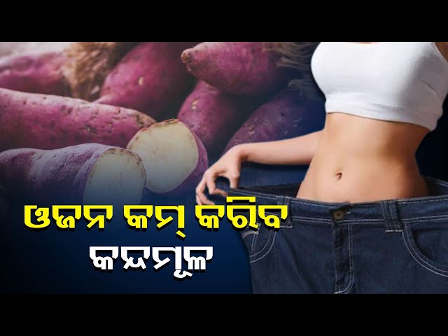 ତ୍ୟେକ-ଦିନ-ଖାଆନ୍ତୁ-ଗୋଟିଏ-କନ୍ଦମୂଳ,-ଶରୀରକୁ-ମିଳିବ-ଅନେକ-ଫାଇଦା-||knews-odisha