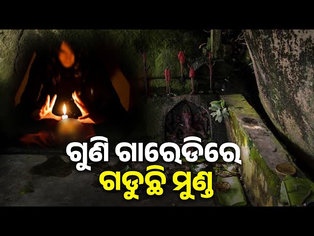 କେବେ-ଶେଷ-ହେବ-ଏ-ଘୃଣ୍ୟ-ପ୍ରଥା,-କେତେ-ଆଉ-ଯିବ-ନୀରିହ-ପ୍ରାଣୀଙ୍କ-ଜୀବନ-||-knews-odisha