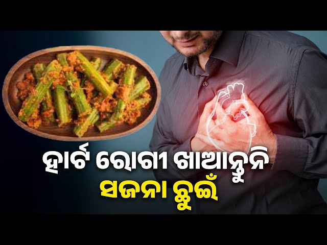 କିଛି-ଲୋକ-ଙ୍କ-ପାଇଁ-କ୍ଷତିକାରକ-ହୋଇଥାଏ-ସଜନା-ଛୁଇଁ,-ସେବନ-କରିବା-ପୂର୍ବରୁ-ନିଅନ୍ତୁ-ପରାମର୍ଶ-||-knews-odisha