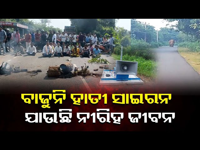 ଟାଙ୍ଗୀ-କପିଳାସ-ରୋଡ଼-ଅଭୟପୁର-ଛକ-ନିକଟରେ-ରାସ୍ତା-ରୋକ-||-knews-odisha