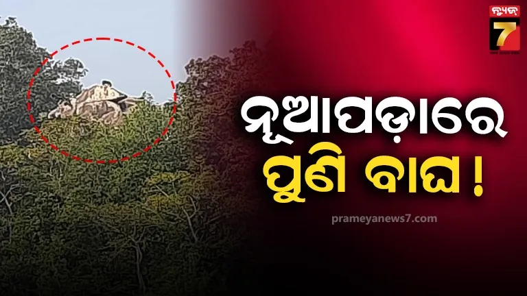ନୂଆପଡ଼ାରେ-ବୁଲୁଛି-ବାଘ,-ଭୟଭୀତ-ସ୍ଥାନୀୟ-ଲୋକ