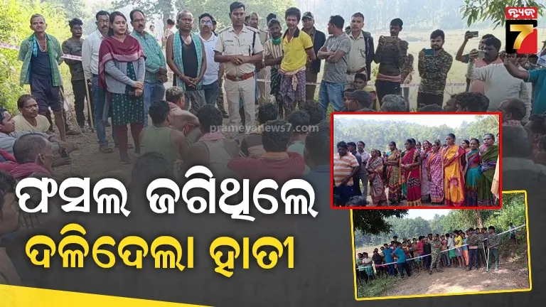 କୁଚିଣ୍ଡାରେ-ଅଭାବନୀୟ-ଘଟଣା,-ହାତୀ-ଆକ୍ରମଣରେ-୨-ଚାଷୀଙ୍କ-ମୃତ୍ୟୁ