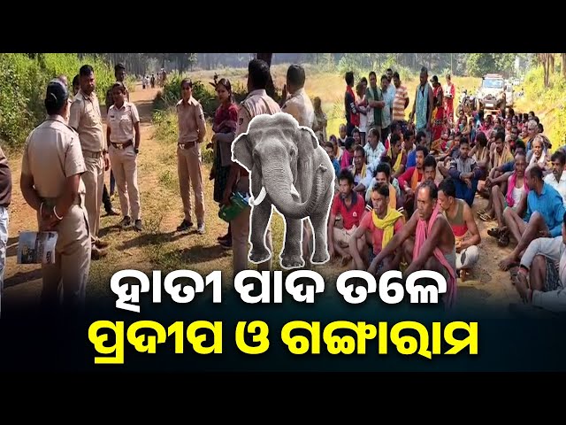 ବନ୍ୟଜନ୍ତୁଙ୍କ-ଠାରୁ-ଫସଲ-ରକ୍ଷା-କରିବେ-କଣ-ଚାଷ-ଜମିରେ-ନିଜେ-ପ୍ରାଣ-ହରାଇଲେ-ଦୁଇ-ଚାଷୀ-||-knews-odisha