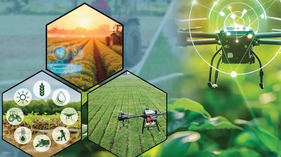 ଭାରତର-୮୬%-କୃଷକ-ପାଖରେ-ପହଞ୍ଚି-ପାରୁନି-କୃଷି-ଟେକ୍ନୋଲୋଜୀ:-ଛାଡ଼ିବାକୁ-ହେବ-ବିଭାଜିତ-କୃଷି-ବ୍ୟବସ୍ଥା