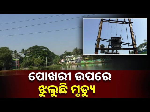 ବିପଦ-ସଙ୍କୁଳ-ଅବସ୍ଥାରେ-ଛୁଲୁଛି-୧୧-କେଭି-ବିଦ୍ୟୁତ-ତାର,-ମୁକୁଳା-ରହିଛି-ଟ୍ରାନ୍ସଫରମର-||knews-odisha